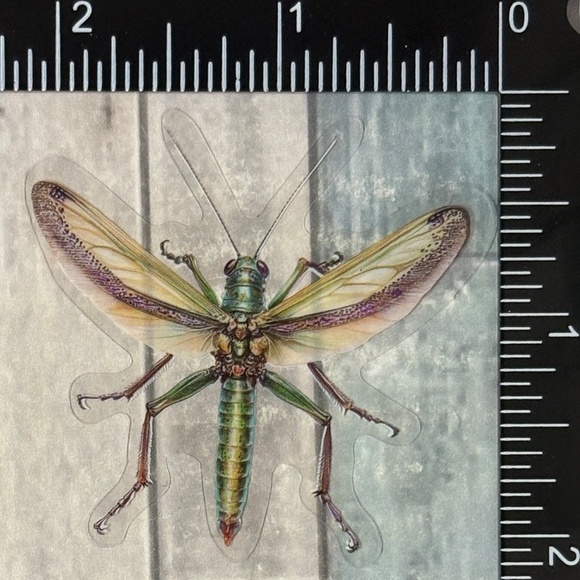 🌀10/$10🌀 Translucent Moth Dragonfly Beetle Reusable Waterproof Sticker Decal - Picture 1 of 1